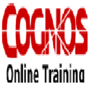 IBM Cognos Training Institutes and Training Center